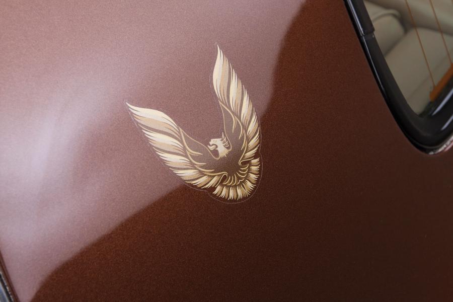  Pontiac Firebird Trans Am Coupe 1979 года  (фото 12 из 21)